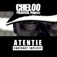 Cheloo — Prezentul Perfect — обложка
